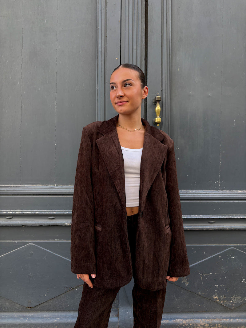 Pantalon de tailleur chic marron en velours