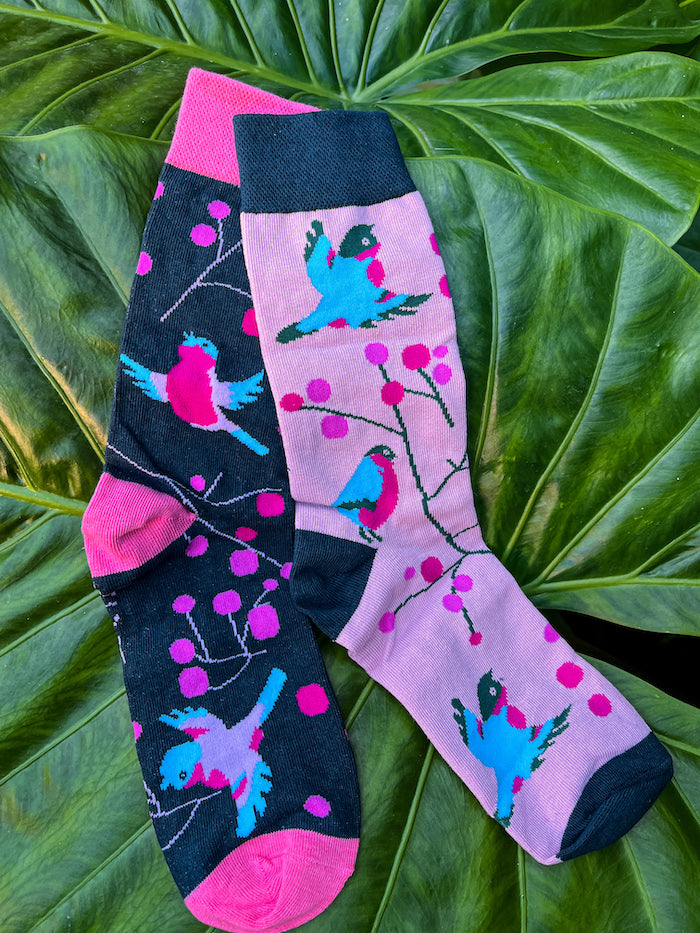 Chaussettes marrantes colorées oiseaux