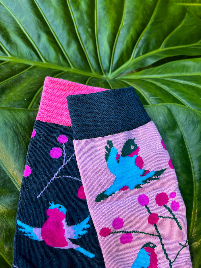 Chaussettes marrantes colorées oiseaux