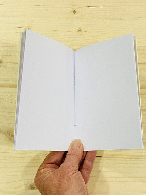 Carnet de notes Frida Kahlo